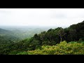 Monsoon WhatsApp Status