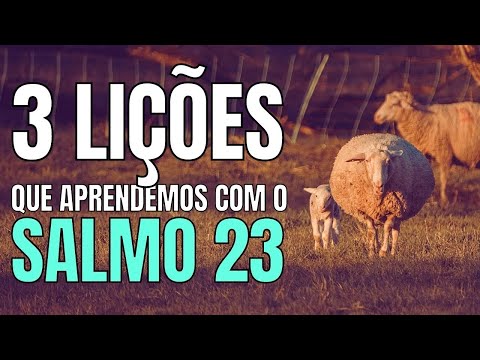 3 LIÇÕES QUE APRENDEMOS COM O SALMO 23 MENSAGEM QUE EDIFICA