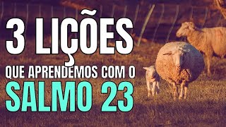 3 LIÇÕES QUE APRENDEMOS COM O SALMO 23 MENSAGEM QUE EDIFICA