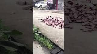 Download lagu UANG JATUH (UDAH JANGAN RIBUT MASING2 AMBIL SATU YA) mp3 Download lagu UANG JATUH (UDAH JANGAN RIBUT MASING2 AMBIL SATU YA) mp3