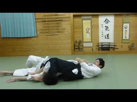 Mixed Aikido & Jiu Jitsu Techniques