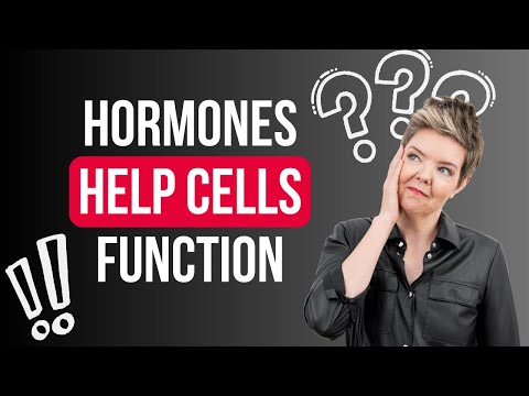 Unpacking the Myths: Honest Q&A on Hormones and Women's Health