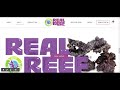 Real Reef Rock Website Development