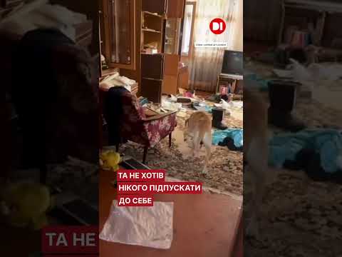 «Ти вся тут в уламках, тобі пора виїжджати»