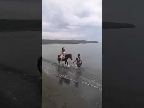 niveen @ amani @ normalah farms