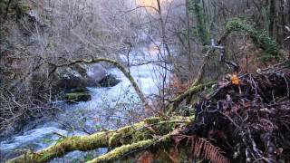 Bill Charlap   Lover Come Back To Me