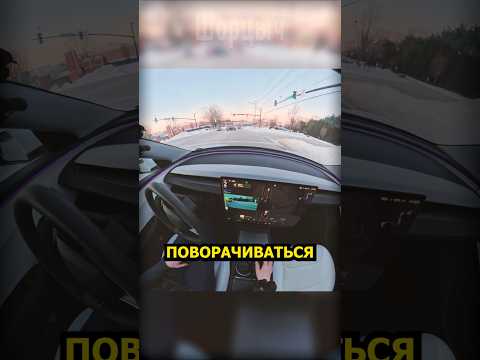 Она подумала, что машина глючит… Но причина удивила всех