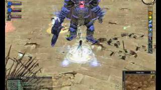 Silkroad Lord Yarkan #30 kill Brave Wizard (FaceSpawn:)