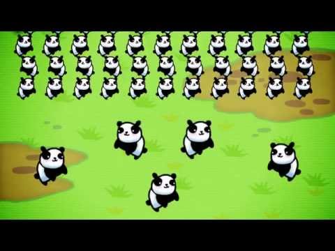 The Last Panda Video