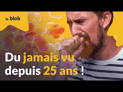 Coqueluche : comment expliquer la flambée épidémique ? Le point avec une épidémiologiste