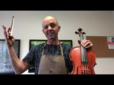 Viola review. Gliga vasile ii vs Struna maestro