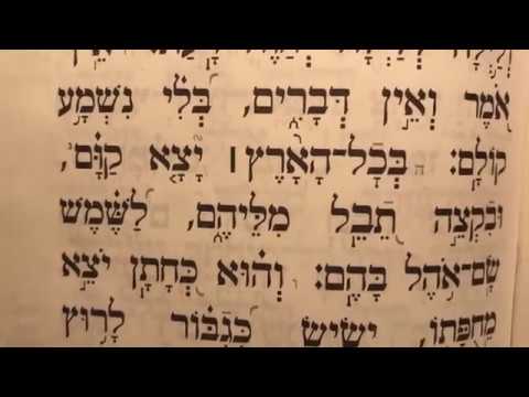 תהלים פרק יט׳ Tehilim perek 19 Psalms chapter 19