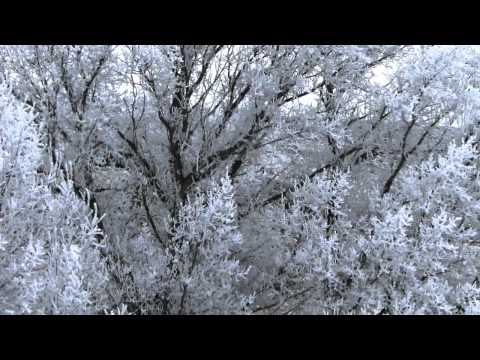 I Find Your Love - Beth Nielsen Chapman