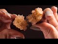 1 Minute ASMR Of A Fruit You Ve Never Seen Before The Finger Lime No Talking