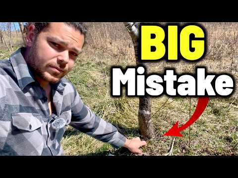 Fruit Tree Planting: Essential Tips Before You Dig In