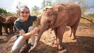 BABY ELEPHANT FARTS - Kenya Trip Day 6