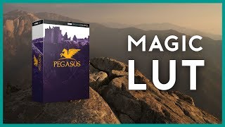 Pegasus: The Magic LUT from Ground Control