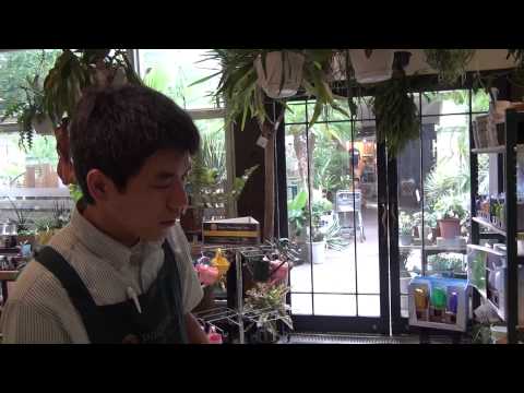 下剤クロトンについて詳しく解説