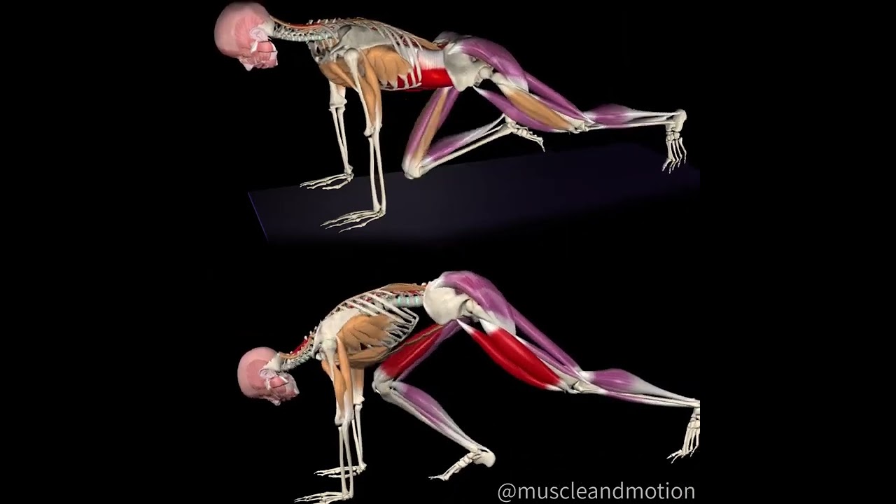 Mountain Climbers (Dağ Tırmanışı)