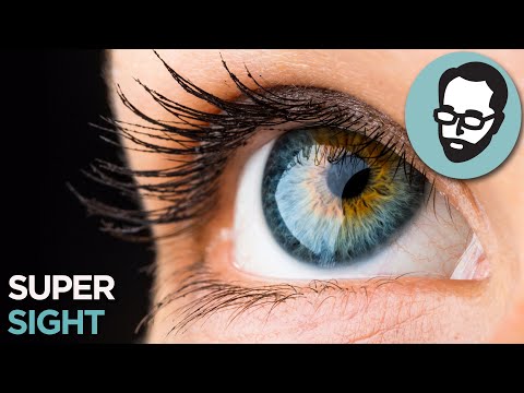 What If You Could See Every Wavelength Of The Electromagnetic Spectrum? | Answers With Joe