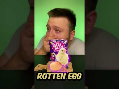 (1 or 2) Harry Potter Beans 🤮