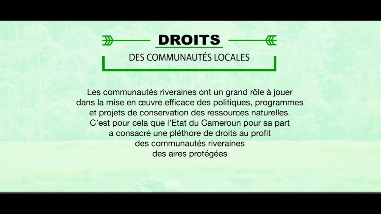 Droits reconnus aux communautés locales riveraines des massifs forestiers au Cameroun