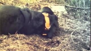 La gadoue. Jane Birkin