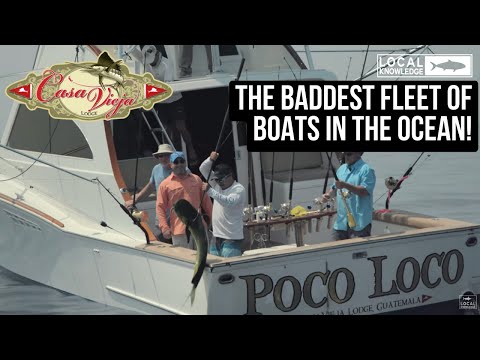 The Baddest Fleet Of Boats In The Ocean!