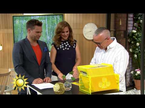 Triss: Markus från Oskarström bytte gammal soffa mot 250.000 kronor - Nyhetsmorgon (TV4)