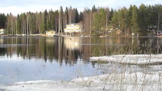 Real swan-song in Varkaus