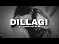 Dillagi Lipixza Slowed Reverb Sad Freestyle Mix