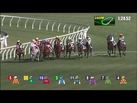 13/1/2021 (338) Baby Storm -  J Moreira