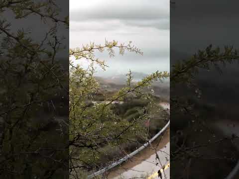 Frío, en altas cumbres l falda del Carmen, bosque alegre, Córdoba