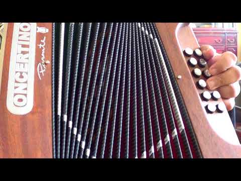 primeiros passos na concertina - licao 2 Os Baixos do folclore (vira e cana verde)