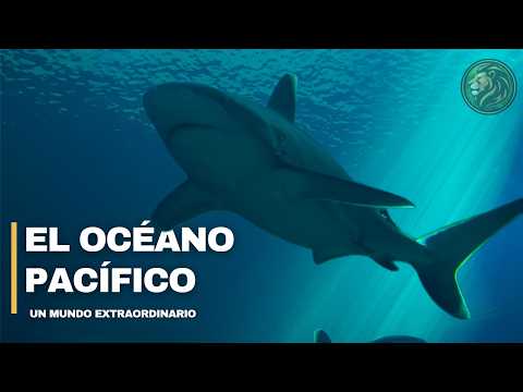 THE PACIFIC OCEAN | A World of Giants - Mini Documentary
