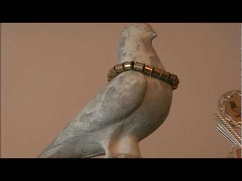 Golubarski Savez Srbije - 40 GODINA POSTOJANJA GSS 69 Zemun