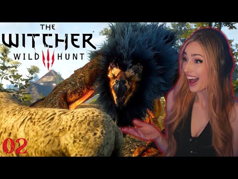 Hunting The Griffin | First Playthrough | The Witcher 3: Wild Hunt | Part 2