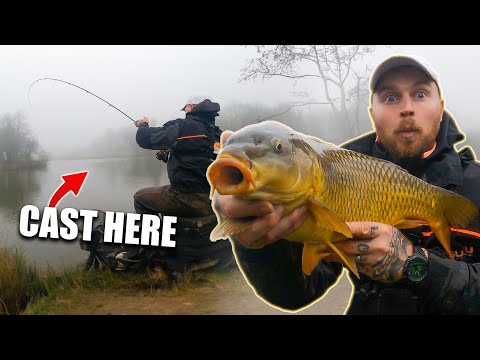 Learn to Method Feeder Fish for BIG CARP