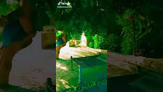 Download lagu Cast of Saajan Movie (released August 30, 1991) Sanjay Dutt  Salman Khan  Madhuri Dixit mp3