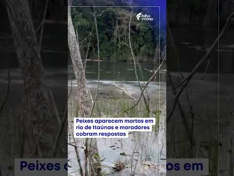 Peixes aparecem mortos em rio de Itaúnas e moradores cobram respostas