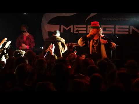 Stabillo-G's Køkkenhaven, Rust  Copenhagen 11/2018