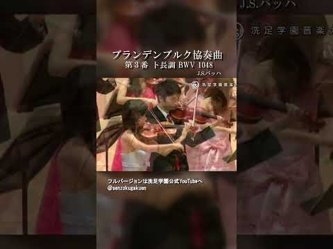 ブランデンブルク協奏曲 第３番 ト長調 BWV 1048
