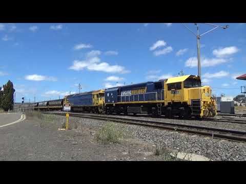 Pacific National XR555, BL34 9156 Grain At North Geelong