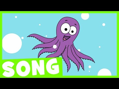 Octopus Song | Simple Song for Kids