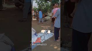 Download lagu potong sapi idul adha 2023 #sapiqurban #sapi #quran mp3