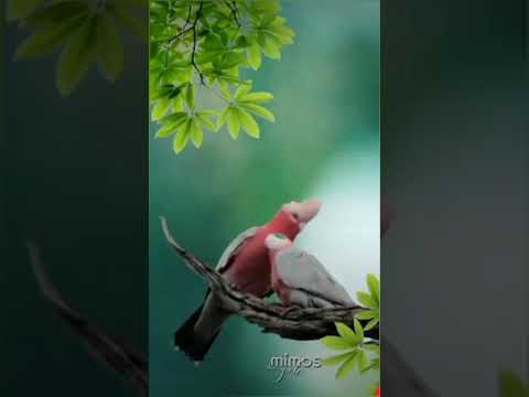 xdtcgh/dfg azeem /yrcg