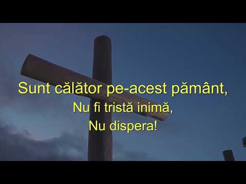 La Crucea de la Golgota   Geo Preda