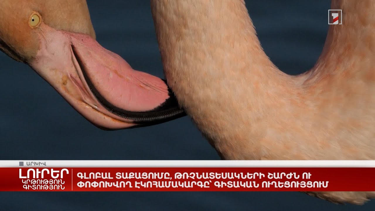 Գլոբալ տաքացումը, թռչնատեսակների շարժն ու փոփոխվող էկոհամակարգը՝ գիտական ուղեցույցում