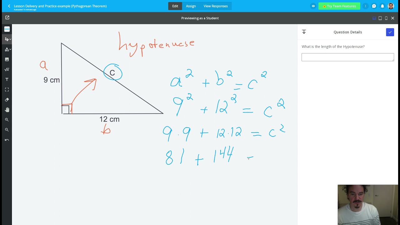 Lesson Delivery and Practice example (Pythagorean Theorem) - Formative