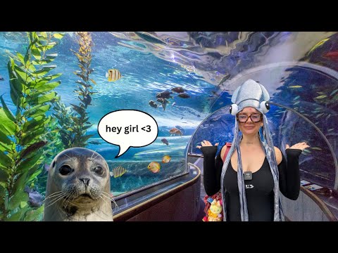 LETS GO TO THE AQUARIUM